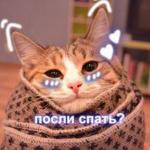 Кети Ми
